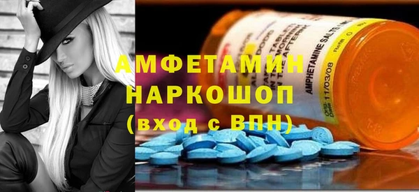 шишки Беломорск