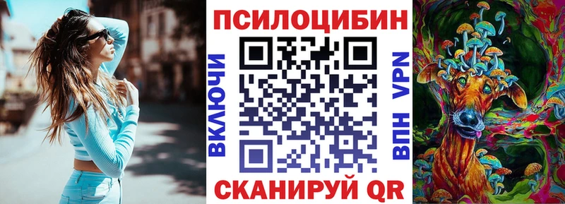 блэк спрут tor Болохово Псилоцибиновые грибы Psilocybine cubensis