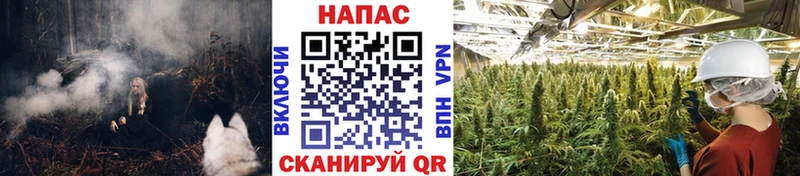 Шишки марихуана THC 21% МЕГА зеркало shop Telegram Болохово
